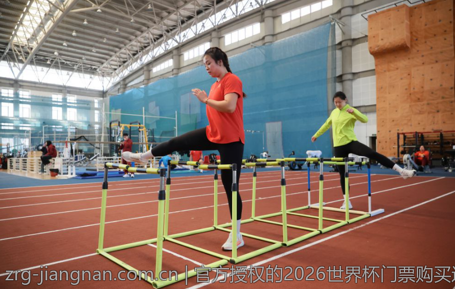 官方授权的2026世界杯门票购买途径详解
