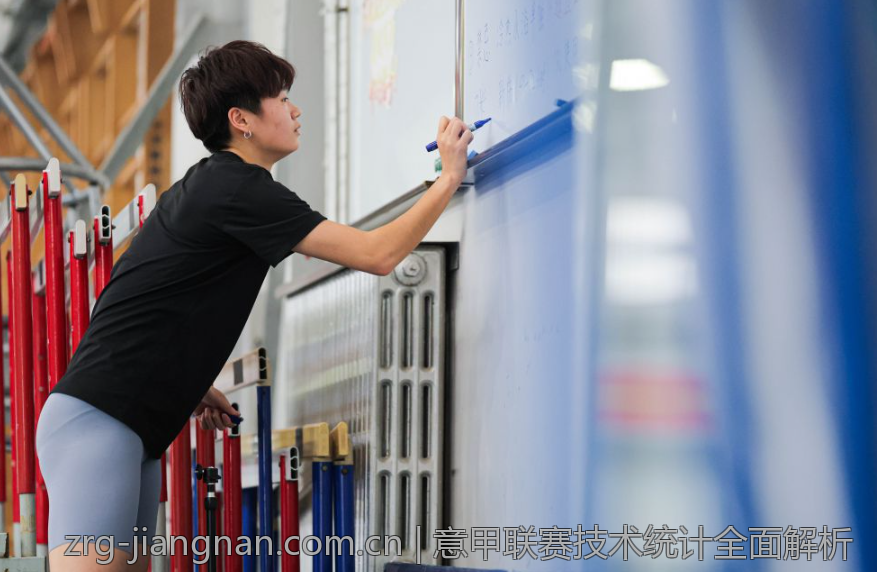 意甲联赛技术统计全面解析